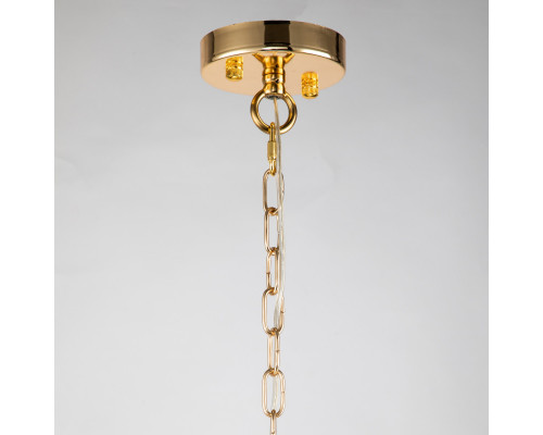 Заказать Подвесная люстра Favourite 2966-5P| VIVID-LIGHT.RU