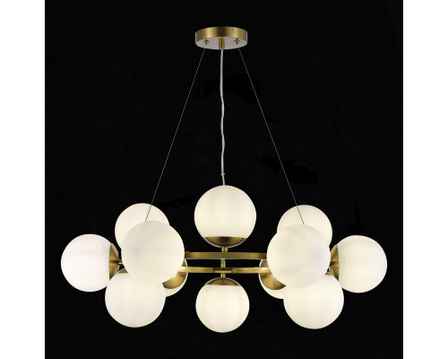 Оформить заказ Подвесная люстра Evoluce SLE1191-203-12| VIVID-LIGHT.RU