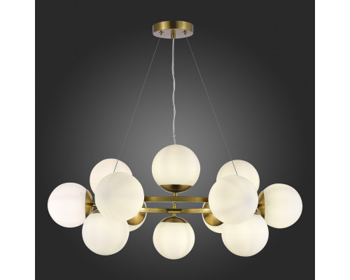 Оформить заказ Подвесная люстра Evoluce SLE1191-203-12| VIVID-LIGHT.RU
