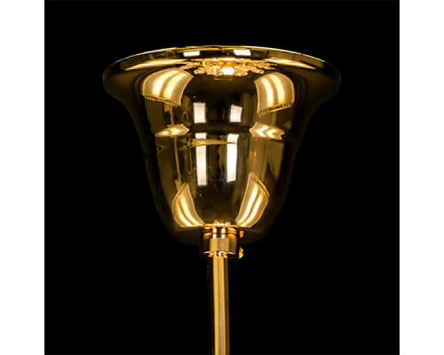 Оформить заказ Подвесная люстра Lightstar 790112| VIVID-LIGHT.RU