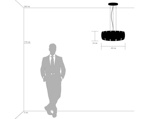 Купить Подвесная люстра Lightstar 801046| VIVID-LIGHT.RU