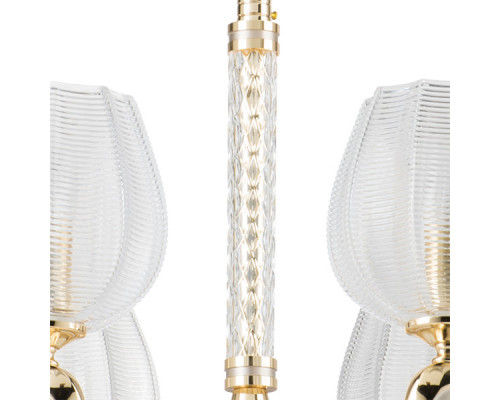 Заказать Подвесная люстра Lightstar 706082| VIVID-LIGHT.RU