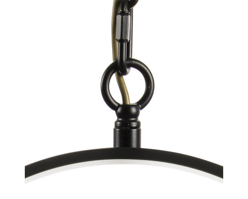 Сделать заказ Подвесная люстра Lightstar 762077| VIVID-LIGHT.RU