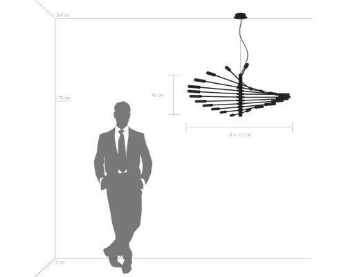 Оформить заказ Подвесная люстра Lightstar 733247| VIVID-LIGHT.RU