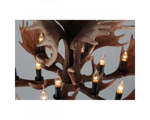 Купить Подвесная люстра Omnilux OML-52203-12| VIVID-LIGHT.RU