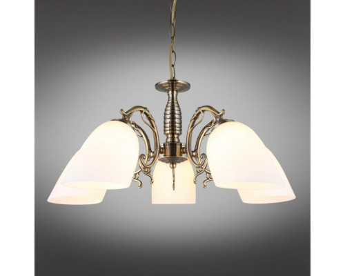 Сделать заказ Подвесная люстра Omnilux OML-56407-05| VIVID-LIGHT.RU
