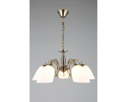 Сделать заказ Подвесная люстра Omnilux OML-56407-05| VIVID-LIGHT.RU