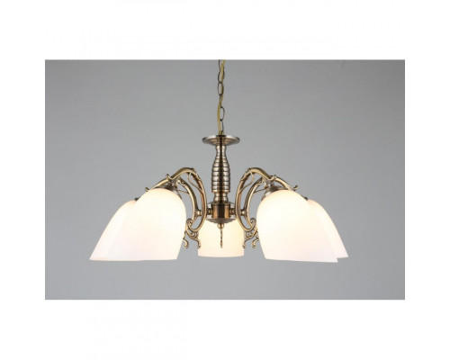 Сделать заказ Подвесная люстра Omnilux OML-56407-05| VIVID-LIGHT.RU