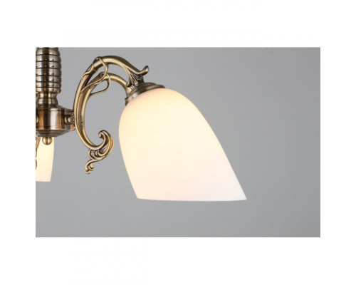 Сделать заказ Подвесная люстра Omnilux OML-56407-05| VIVID-LIGHT.RU