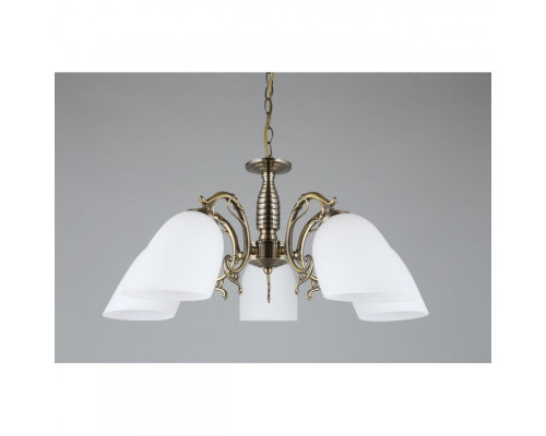 Сделать заказ Подвесная люстра Omnilux OML-56407-05| VIVID-LIGHT.RU