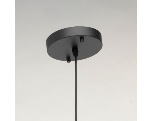 Оформить заказ Подвесная люстра DeMarkt 412010401| VIVID-LIGHT.RU