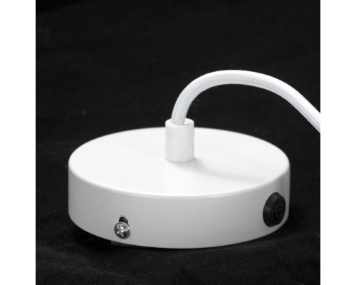 Оформить заказ Подвесная люстра LOFT GRLSP-8361| VIVID-LIGHT.RU