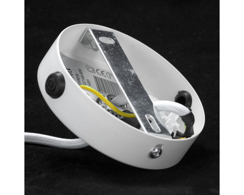 Оформить заказ Подвесная люстра LOFT GRLSP-8361| VIVID-LIGHT.RU