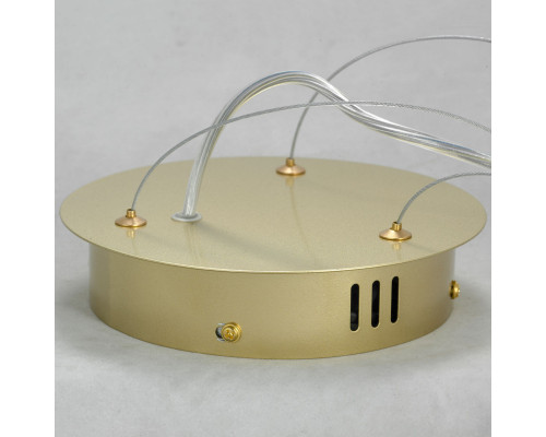 Оформить заказ Подвесная люстра LOFT LSP-8366| VIVID-LIGHT.RU