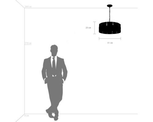 Оформить заказ Подвесная люстра Lightstar 713267| VIVID-LIGHT.RU
