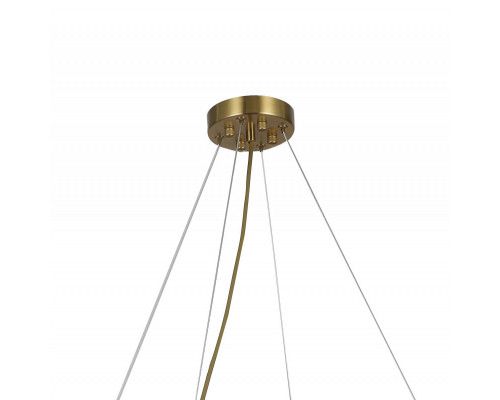 Сделать заказ Подвесная люстра Favourite 2907-8P| VIVID-LIGHT.RU