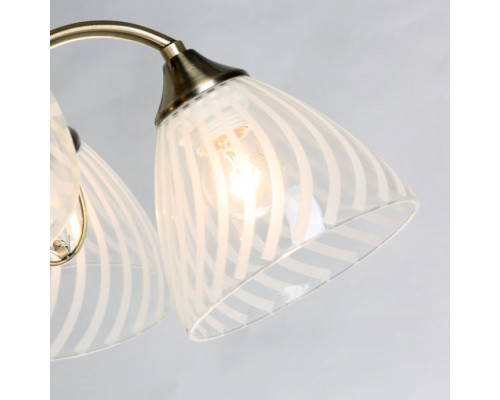 Купить Подвесная люстра DeMarkt 105011405| VIVID-LIGHT.RU