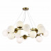 Сделать заказ Подвесная люстра Evoluce SLE1191-203-20| VIVID-LIGHT.RU
