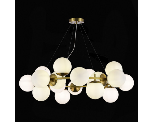 Сделать заказ Подвесная люстра Evoluce SLE1191-203-20| VIVID-LIGHT.RU