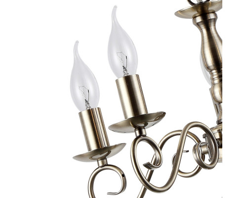 Оформить заказ Подвесная люстра ARTE Lamp A1129LM-5AB| VIVID-LIGHT.RU