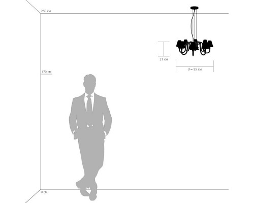 Сделать заказ Подвесная люстра 760086 Lightstar| VIVID-LIGHT.RU