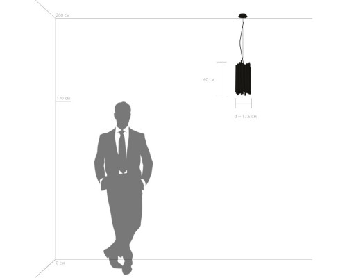 Заказать Подвесная люстра Lightstar 816022| VIVID-LIGHT.RU