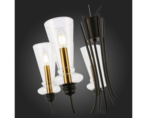 Заказать Подвесная люстра Evoluce SLE112403-05| VIVID-LIGHT.RU