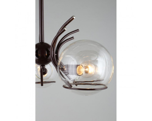 Купить Подвесная люстра Omnilux OML-28803-05| VIVID-LIGHT.RU