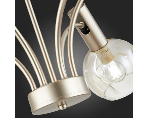 Сделать заказ Подвесная люстра Evoluce SLE104203-06| VIVID-LIGHT.RU