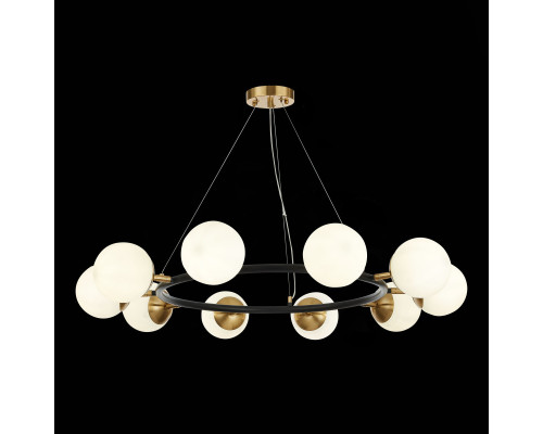 Оформить заказ Подвесная люстра Evoluce SLE220403-10| VIVID-LIGHT.RU