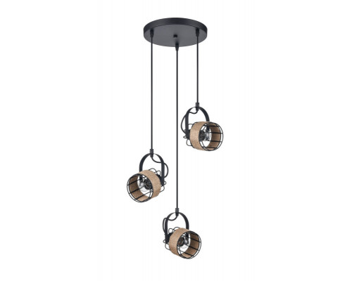 Заказать Подвесная люстра Vele Luce VL6472P13| VIVID-LIGHT.RU