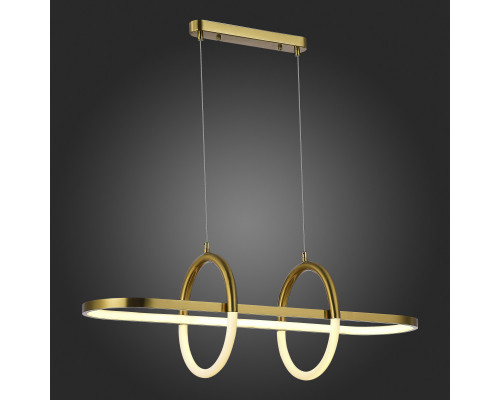 Заказать Подвесная люстра ST-Luce SL1579.313.01| VIVID-LIGHT.RU