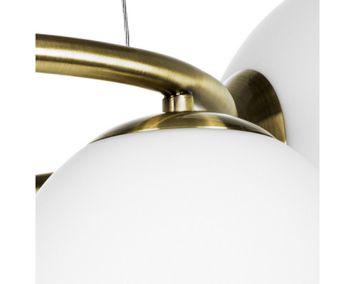 Сделать заказ Подвесная люстра Lightstar 815051| VIVID-LIGHT.RU