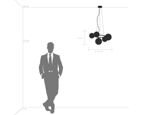 Сделать заказ Подвесная люстра Lightstar 815051| VIVID-LIGHT.RU