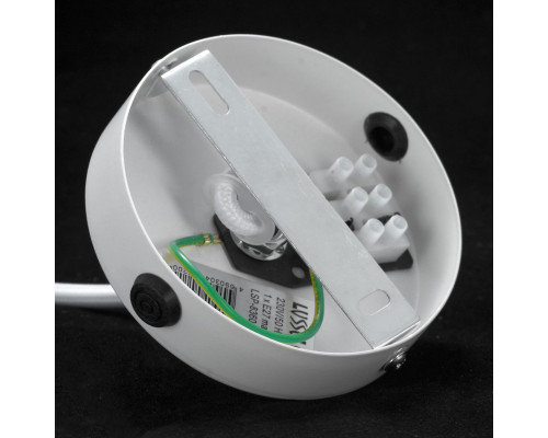 Купить Подвесная люстра LOFT GRLSP-8360| VIVID-LIGHT.RU