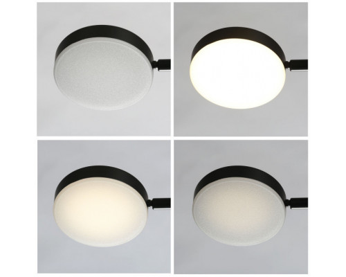 Заказать Подвесная люстра DeMarkt 632017206| VIVID-LIGHT.RU