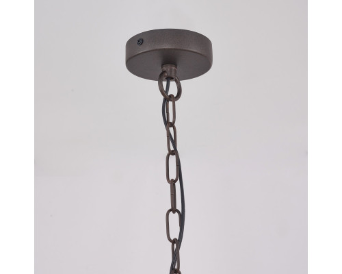 Оформить заказ Подвесная люстра Favourite 4007-2P| VIVID-LIGHT.RU