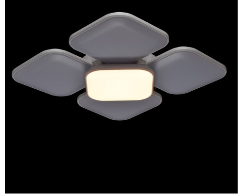 Сделать заказ Накладной светильник DeMarkt 660011705| VIVID-LIGHT.RU