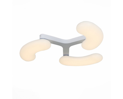 Заказать Накладной светильник ST-Luce SL808.502.03| VIVID-LIGHT.RU