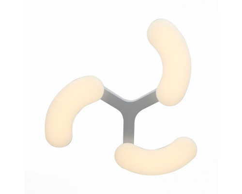 Заказать Накладной светильник ST-Luce SL808.502.03| VIVID-LIGHT.RU