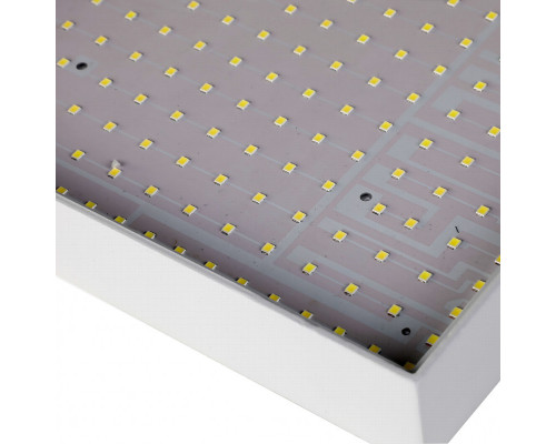 Купить Накладной светильник Favourite 2066-16C| VIVID-LIGHT.RU