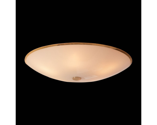 Оформить заказ Накладной светильник Citilux CL911602| VIVID-LIGHT.RU