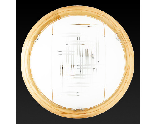 Купить Накладной светильник TOPLIGHT TL9153Y-02PN| VIVID-LIGHT.RU