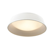 Накладной светильник Odeon Light 4157/3C