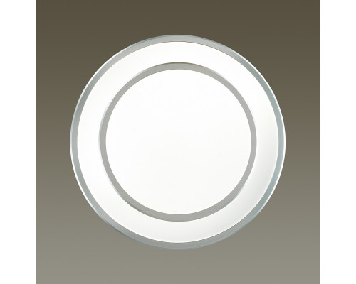 Сделать заказ Накладной светильник Odeon Light 4627/48CL| VIVID-LIGHT.RU