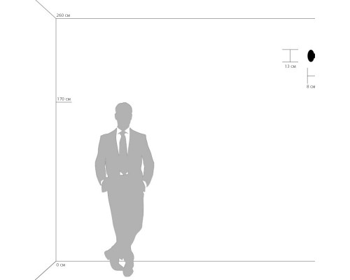 Оформить заказ Накладной светильник 807010 Lightstar| VIVID-LIGHT.RU