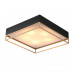 Оформить заказ Накладной светильник ST-Luce SL1127.422.05| VIVID-LIGHT.RU