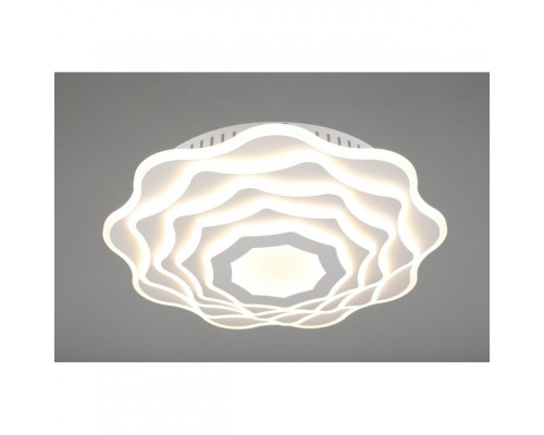 Оформить заказ Накладной светильник Omnilux OML-09607-169| VIVID-LIGHT.RU