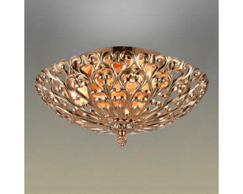 Оформить заказ Накладной светильник Omnilux OML-75907-02| VIVID-LIGHT.RU