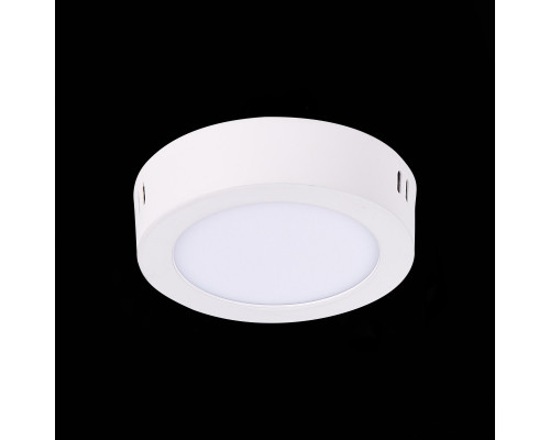 Сделать заказ Накладной светильник ST-Luce ST112.542.06| VIVID-LIGHT.RU